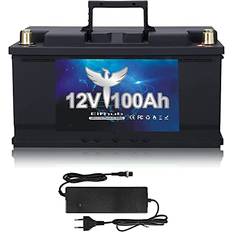 Elfhub 12V 100Ah LiFePO4 Plus Lithiumbatterie