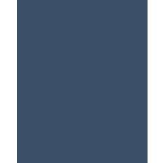 The Ruler Slim Jeans