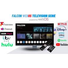 Falcon 24 Inch TV Webos Smart TV Wifi Camping 12V 24V Integrated DVD Player