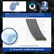 Blue Print V-Belts Blue Print 6 Rib Multi V Drive Belt Fits Mazda CX5 KF 2.2D 2017 On SH0115909