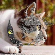 Kikidex Smart Gps Cat And Dog Collar Tracker