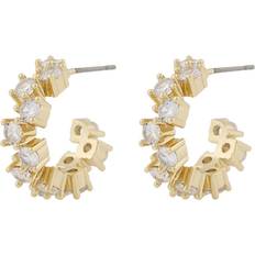 Snö of Sweden Örhängen Snö of Sweden Envy Small Oval Earring - Gold/Clear