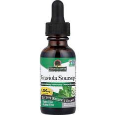 Graviola Soursop Liquid Extract Alcohol 1 fl oz