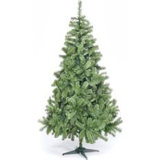 5ft Colorado Spruce in Green with 337 tips 86cm Diameter