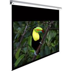Lumene Majestic HD 240C Motorized Projection Screen