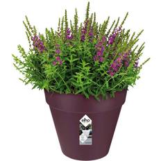 Lilla - Plast Krukker Elho Loft Urban Round Flower Pot - Mulberry Purple Krukke