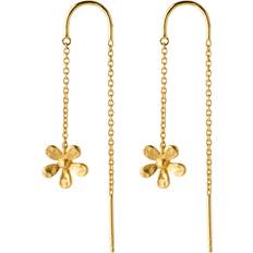 Pernille Corydon Örhängen Pernille Corydon Wild Poppy Earchains Gold Plated Recycled Silver