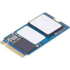 3.5" - Internal - SSD Hard Drives Lenovo M.2 Drive 2242 256G