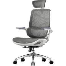 SIHOO M59AS Ergonomic Desk Office Chair