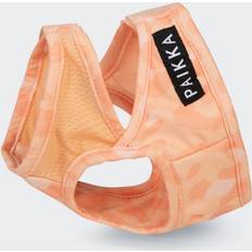 Paikka Kylväst Peach Till Hund M Rosa