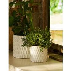 Pots, Plants & Cultivation Garden Trading Blewbury Bobble Pot 11cm White