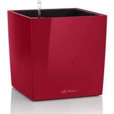Pots, Plants & Cultivation Lechuza Cube Premium 50 Scarlet Red High Gloss