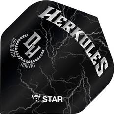 Flight Controls Bull's B-Star Flights A-Std Dragutin Horvat