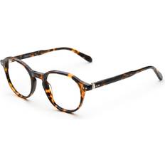 LensWay Gibson Havana