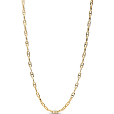 Pandora Ankarkedja Halsband Guld