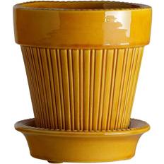 Bergs Potter Krukor, Plantor & Odling Bergs Potter Simona Glazed Pot - Gul ∅16cm