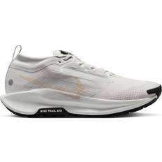 Nike Pegasus Trail 5 Gore-TEX - Grå
