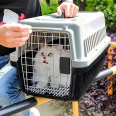 Pets Temu Puppy Rabbit Plastic Dog Cat Crate Kennel