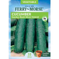 Vegetable Seeds Ferry-Morse Cucumber Slicer Garden Bush 0.9 Gram