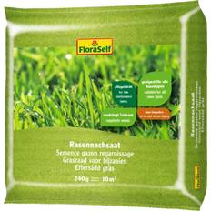 Krukor, Plantor & Odling FloraSelf Gräsfrö Eftersådd 240g för 10m²
