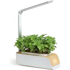Krukor, Plantor & Odling Mobiclinic Hydroponiskt Mini Odlingssystem 4.5 W