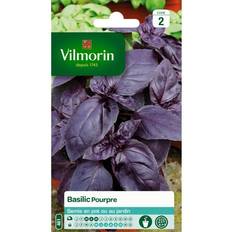 Graines Vilmorin Sachet Graines Basilic Pourpre New