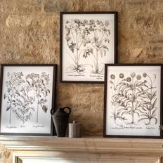 Evergreen Set of 3 500x600 mm Framed Art