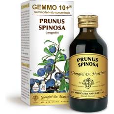 G10 Prunus Spinosa Giorgini 100 ml