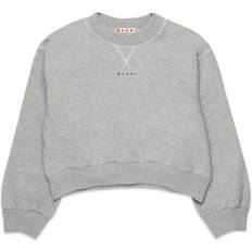 Grå Striktrøjer Marni Sweater Kids - Grey