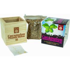 Plant Kits on sale Funtime Grow Your Own Cucamelon