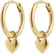 Pilgrim Guld Øreringe Pilgrim Alaia Goldplated Earrings - NEW