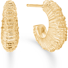 Seashell Secrets Øreringe Forgyldt - Sølv