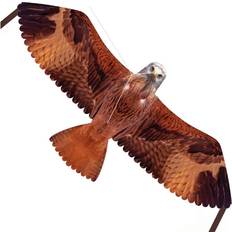 Brookite Bird Of Prey Themed Outdoor Kite