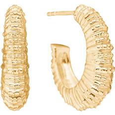 Seashell Secrets Forgyldt Ørerings - Stor