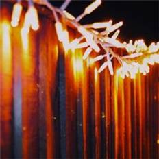 Cluster Lights White Rubber IP65 5m 250 LED String Light