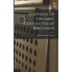 Bentonite Synthesis of Organic Derivatives of Bentonite (Paperback)