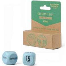 Exercise Dice Set Of 2