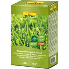 Gräsmatterenovering 1.2kg för 50m²
