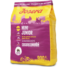 Mini Junior