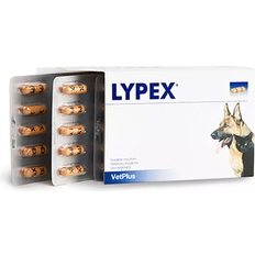 VetPlus Lypex Pancreatic Enzyme Capsules for Dogs 60pcs