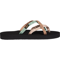 Teva Olowahu - Maple Sugar Multi