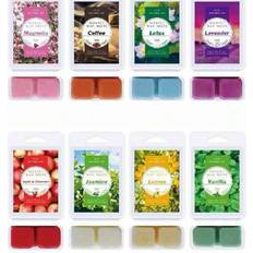 Shein Summer Scented Melts 30 Oz Wax Melt