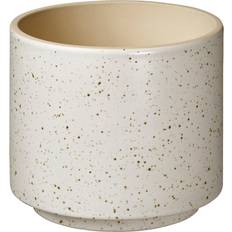 Sandkörsbär Kruka Inom Utomhus Beige 12 cm