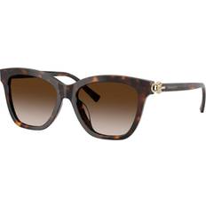 Kvinde TF4241D Uld Solbriller Acetat Skildpadde - Brun