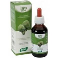Salute intestinale Lipo Plant N 04 Integratore Per La Funzionalità Epatica Digestiva 100 ml