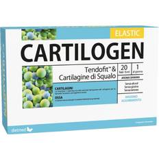 Vitamine e Integratori Cartilogen Elastic Dietmed 20 Fiale 15ml