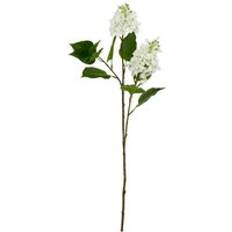 Artificial Plants on sale Hill Interiors Natural Garden Collection Lilac Flower 30 x W30 x H75 cm Artificial Plant