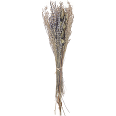 Beliani Artificial Plants Beliani Dried Flower Bouquet 70 cm Violet and Green Artificial Plant