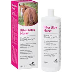 Cura e toelettatura RIBES HORSE SH&BALS ULTRA 1LT