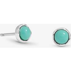 Simply Silver Polished Turquoise Stud Earrings
